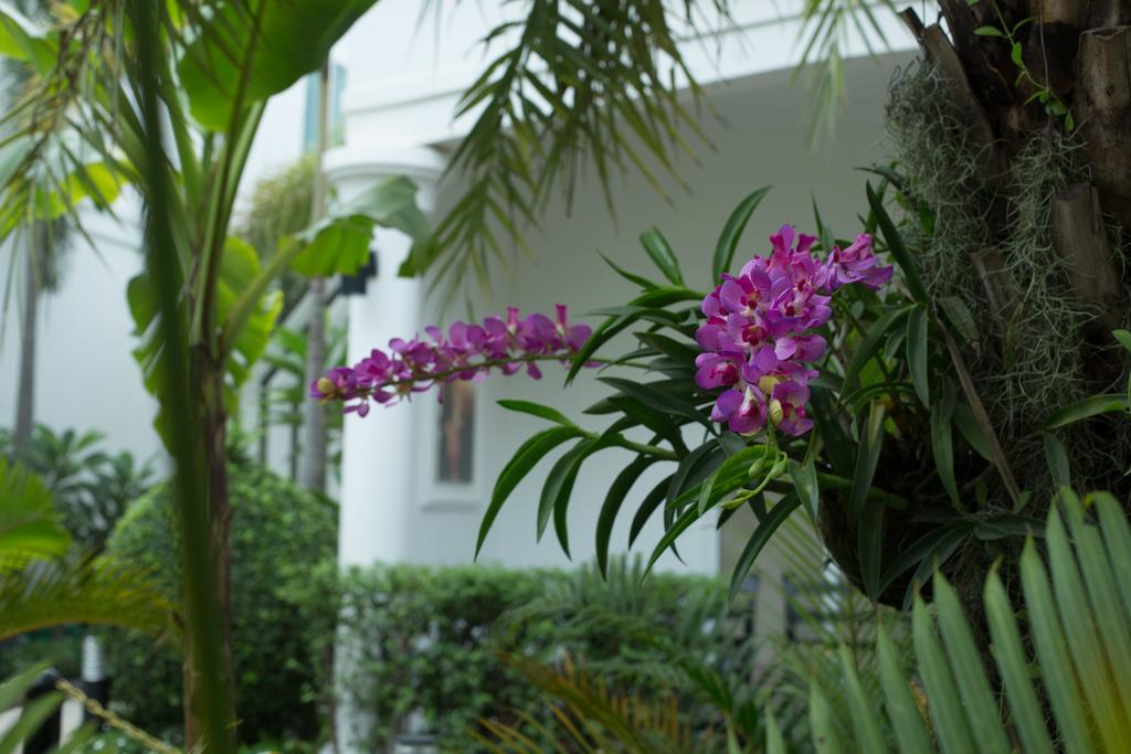 Marvel Holiday Boutique Villa Siem Reap Exterior foto
